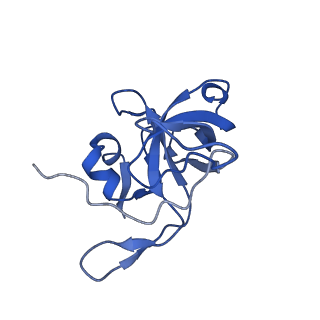 22085_6xa1_LV_v1-1
Structure of a drug-like compound stalled human translation termination complex