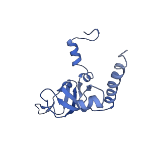 22085_6xa1_LY_v1-1
Structure of a drug-like compound stalled human translation termination complex