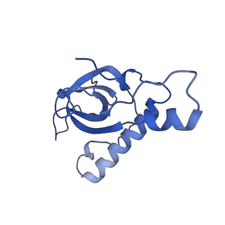 22085_6xa1_LZ_v1-1
Structure of a drug-like compound stalled human translation termination complex