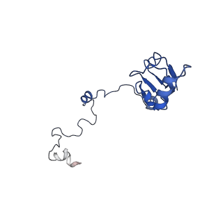 22085_6xa1_La_v1-1
Structure of a drug-like compound stalled human translation termination complex