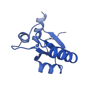 22085_6xa1_Lc_v1-1
Structure of a drug-like compound stalled human translation termination complex