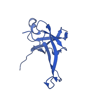 22085_6xa1_Lf_v1-1
Structure of a drug-like compound stalled human translation termination complex