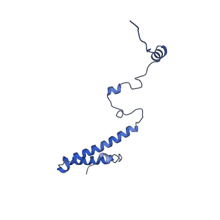 22085_6xa1_Lh_v1-1
Structure of a drug-like compound stalled human translation termination complex