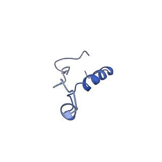 22085_6xa1_Ll_v1-1
Structure of a drug-like compound stalled human translation termination complex