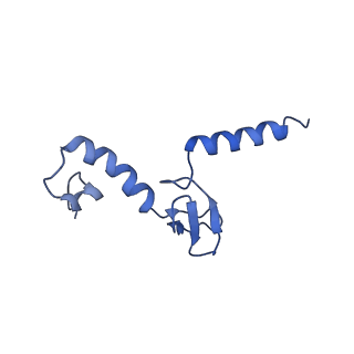 22085_6xa1_Lp_v1-1
Structure of a drug-like compound stalled human translation termination complex