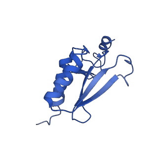 22085_6xa1_Lr_v1-1
Structure of a drug-like compound stalled human translation termination complex