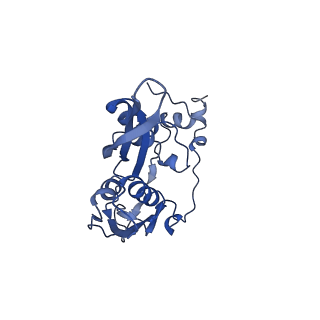 22085_6xa1_SC_v1-1
Structure of a drug-like compound stalled human translation termination complex