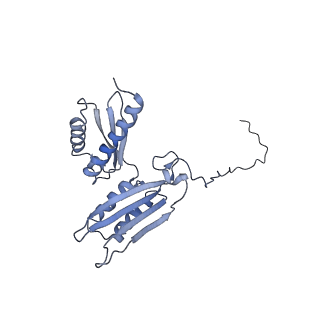 22085_6xa1_SD_v1-1
Structure of a drug-like compound stalled human translation termination complex