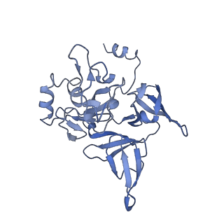 22085_6xa1_SE_v1-1
Structure of a drug-like compound stalled human translation termination complex