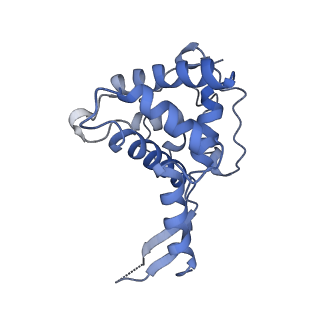 22085_6xa1_SF_v1-1
Structure of a drug-like compound stalled human translation termination complex