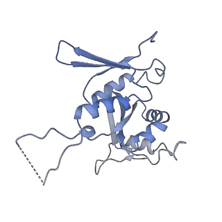 22085_6xa1_SH_v1-1
Structure of a drug-like compound stalled human translation termination complex