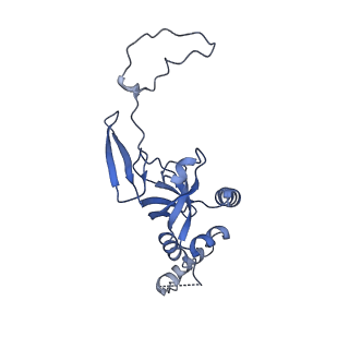 22085_6xa1_SI_v1-1
Structure of a drug-like compound stalled human translation termination complex