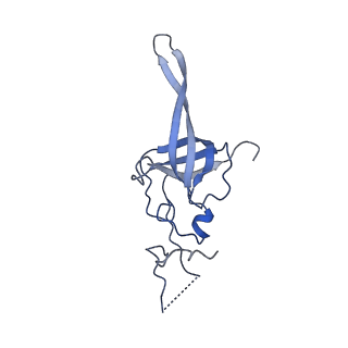 22085_6xa1_SL_v1-1
Structure of a drug-like compound stalled human translation termination complex