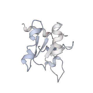 22085_6xa1_SM_v1-1
Structure of a drug-like compound stalled human translation termination complex