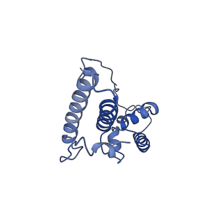 22085_6xa1_SN_v1-1
Structure of a drug-like compound stalled human translation termination complex