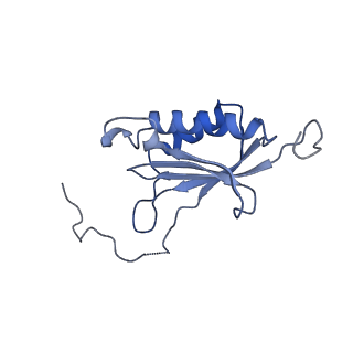 22085_6xa1_SO_v1-1
Structure of a drug-like compound stalled human translation termination complex