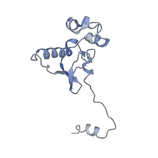 22085_6xa1_SP_v1-1
Structure of a drug-like compound stalled human translation termination complex