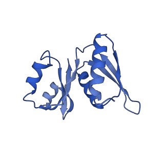 22085_6xa1_SW_v1-1
Structure of a drug-like compound stalled human translation termination complex