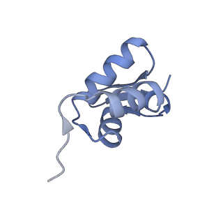 22085_6xa1_SZ_v1-1
Structure of a drug-like compound stalled human translation termination complex