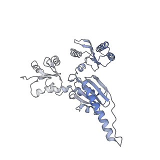 22085_6xa1_j_v1-1
Structure of a drug-like compound stalled human translation termination complex