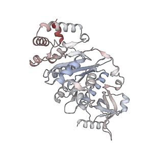 22114_6xas_A_v1-2
CryoEM Structure of E. coli Rho-dependent Transcription Pre-termination Complex