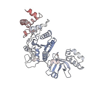 22114_6xas_C_v1-2
CryoEM Structure of E. coli Rho-dependent Transcription Pre-termination Complex
