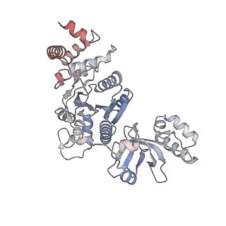 22114_6xas_C_v1-3
CryoEM Structure of E. coli Rho-dependent Transcription Pre-termination Complex