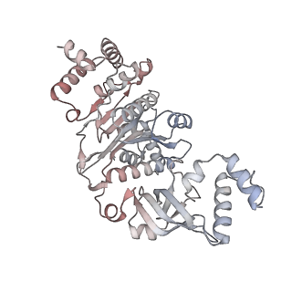 22114_6xas_D_v1-2
CryoEM Structure of E. coli Rho-dependent Transcription Pre-termination Complex