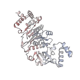 22114_6xas_D_v1-3
CryoEM Structure of E. coli Rho-dependent Transcription Pre-termination Complex