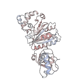 22114_6xas_E_v1-2
CryoEM Structure of E. coli Rho-dependent Transcription Pre-termination Complex