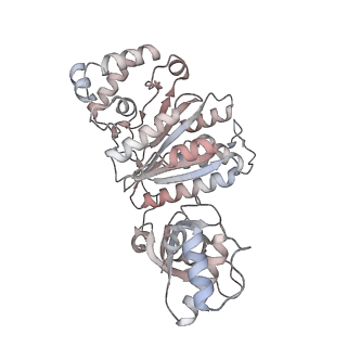 22114_6xas_E_v1-3
CryoEM Structure of E. coli Rho-dependent Transcription Pre-termination Complex