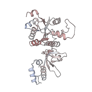 22114_6xas_F_v1-2
CryoEM Structure of E. coli Rho-dependent Transcription Pre-termination Complex