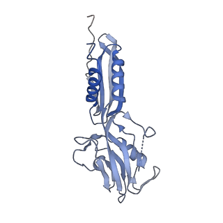 22114_6xas_H_v1-2
CryoEM Structure of E. coli Rho-dependent Transcription Pre-termination Complex