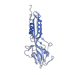 22114_6xas_H_v1-3
CryoEM Structure of E. coli Rho-dependent Transcription Pre-termination Complex