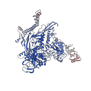 22114_6xas_I_v1-3
CryoEM Structure of E. coli Rho-dependent Transcription Pre-termination Complex