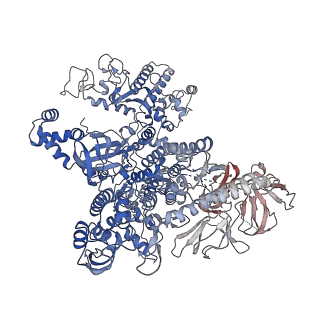 22114_6xas_J_v1-2
CryoEM Structure of E. coli Rho-dependent Transcription Pre-termination Complex