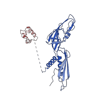 22114_6xas_K_v1-3
CryoEM Structure of E. coli Rho-dependent Transcription Pre-termination Complex