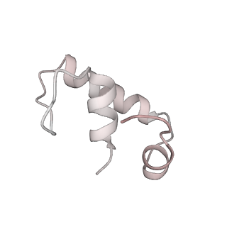 22114_6xas_W_v1-2
CryoEM Structure of E. coli Rho-dependent Transcription Pre-termination Complex