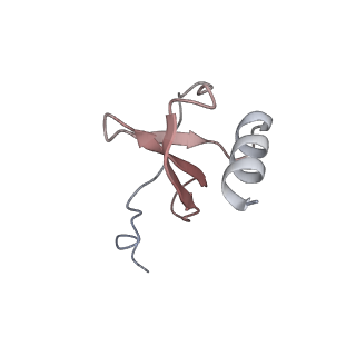 33086_7xa3_L_v1-0
Cryo-EM structure of the CCL2 bound CCR2-Gi complex
