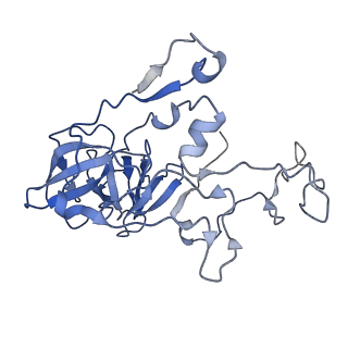 33096_7xam_C_v1-0
Mycobacterium smegmatis 50S ribosomal subunit from Stationary phase of growth