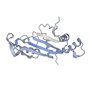 33096_7xam_F_v1-0
Mycobacterium smegmatis 50S ribosomal subunit from Stationary phase of growth
