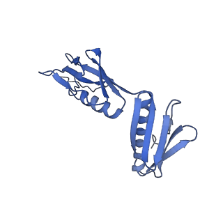 33096_7xam_G_v1-0
Mycobacterium smegmatis 50S ribosomal subunit from Stationary phase of growth
