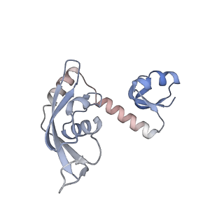 33096_7xam_H_v1-0
Mycobacterium smegmatis 50S ribosomal subunit from Stationary phase of growth