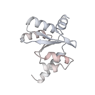 33096_7xam_I_v1-0
Mycobacterium smegmatis 50S ribosomal subunit from Stationary phase of growth