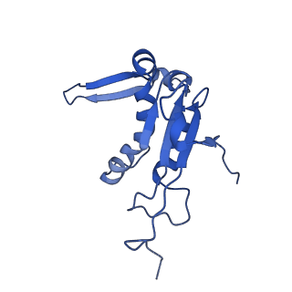 33096_7xam_K_v1-0
Mycobacterium smegmatis 50S ribosomal subunit from Stationary phase of growth