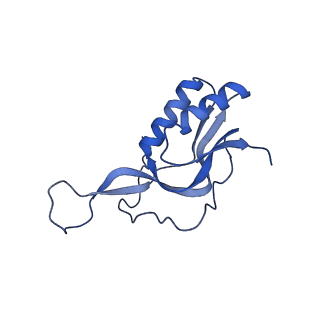 33096_7xam_N_v1-0
Mycobacterium smegmatis 50S ribosomal subunit from Stationary phase of growth
