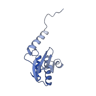 33096_7xam_P_v1-0
Mycobacterium smegmatis 50S ribosomal subunit from Stationary phase of growth