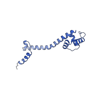 33096_7xam_R_v1-0
Mycobacterium smegmatis 50S ribosomal subunit from Stationary phase of growth