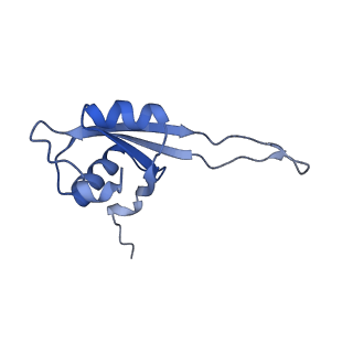 33096_7xam_U_v1-0
Mycobacterium smegmatis 50S ribosomal subunit from Stationary phase of growth