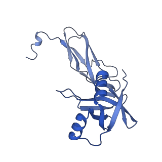 33096_7xam_W_v1-0
Mycobacterium smegmatis 50S ribosomal subunit from Stationary phase of growth